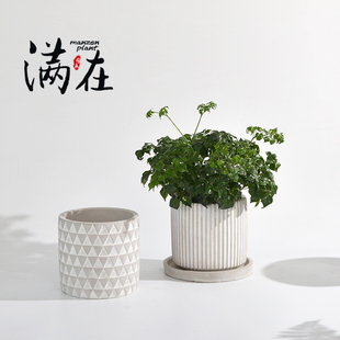 多肉绿植花卉盆栽花 满在复古水泥花盆创意简约几何北欧风家居软装