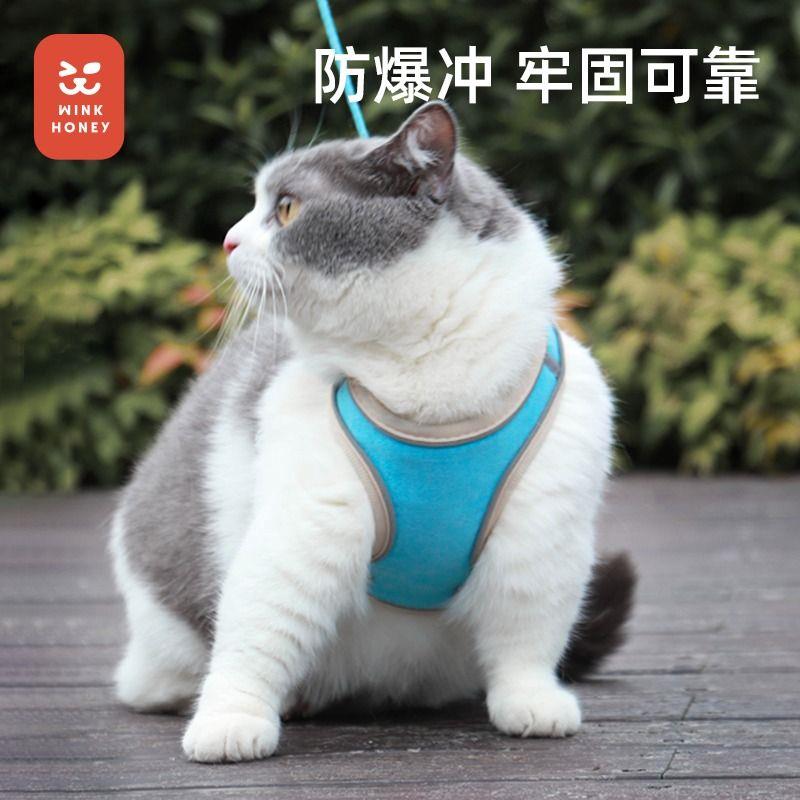 新款直销猫咪牵引绳防挣脱外出遛猫绳遛猫链子宠物胸背带狗绳子防