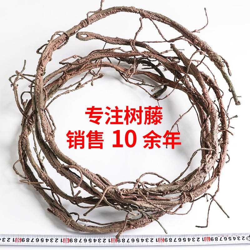 新款直销仿真枯藤枯藤树藤条装饰藤墙壁管道吊顶造型 3米造景枯藤