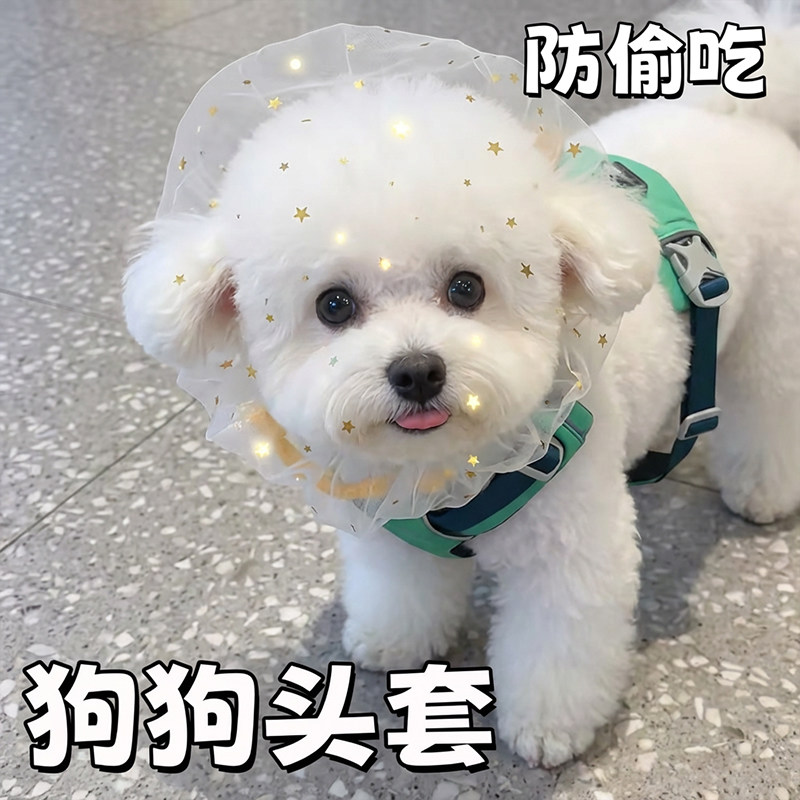 狗狗乱偷吃头套宠物项圈防乱舔防咬防投毒小狗网纱面罩透气嘴套