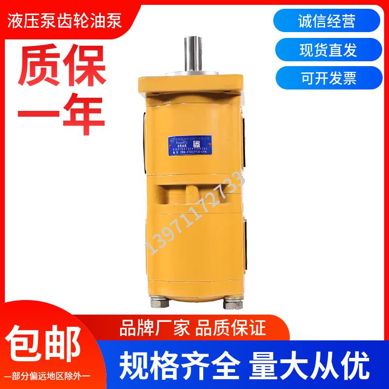 合肥长源液压双联齿轮油泵CBQL-F550/F520-CFH/L液压泵高压动力泵