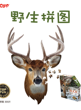 美国MADDCAPP益智拼图高难度成人解压潮玩异形