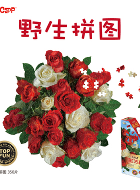 美国MADDCAPP成人解压玩具高难度异形拼图-350片玫瑰