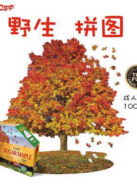 美国MADDCAPP成人高级解压十级高难度潮玩一千片异形拼图--糖枫树