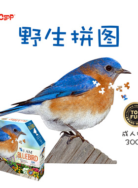 美国MADDCAPP成人解压玩具DIY高级感高难度异形拼图300片蓝鸟系列