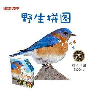 美国MADDCAPP成人解压玩具DIY高级感高难度异形拼图300片蓝鸟系列