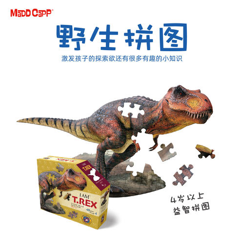 3到4岁野生拼图益智早教生日礼物