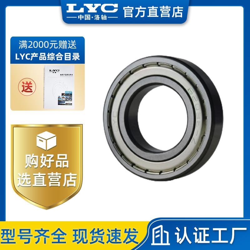 6300E-2Z 洛阳LYC轴承 深沟球轴承系列 微型轴承 小家电 电机机械