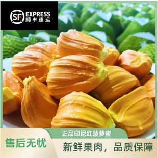 新鮮一整個8 印尼紅紅肉菠蘿蜜當季 20斤紅心菠蘿蜜蜜香甜脆