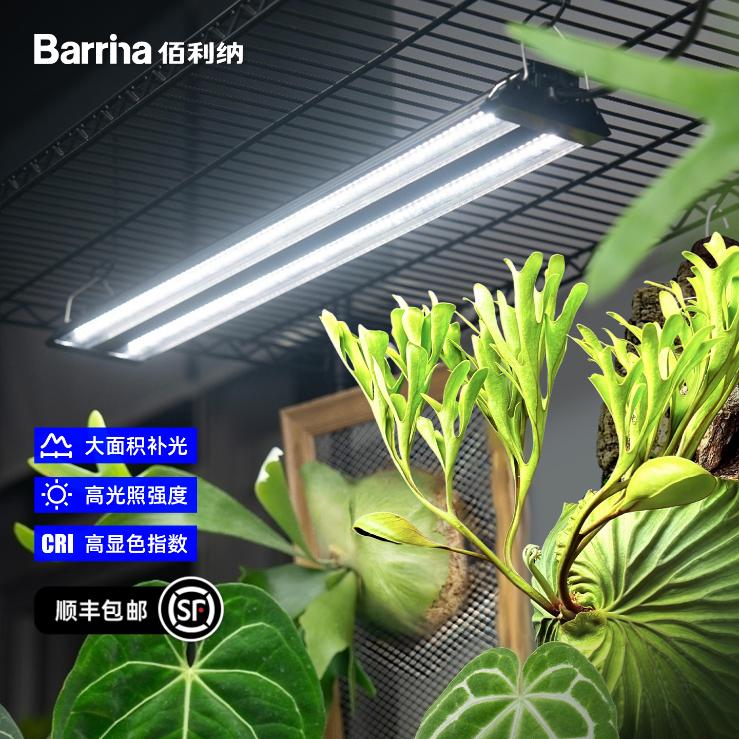 Barrina佰利纳仿太阳全光谱植物补光灯热植鹿角蕨室内植物生长灯