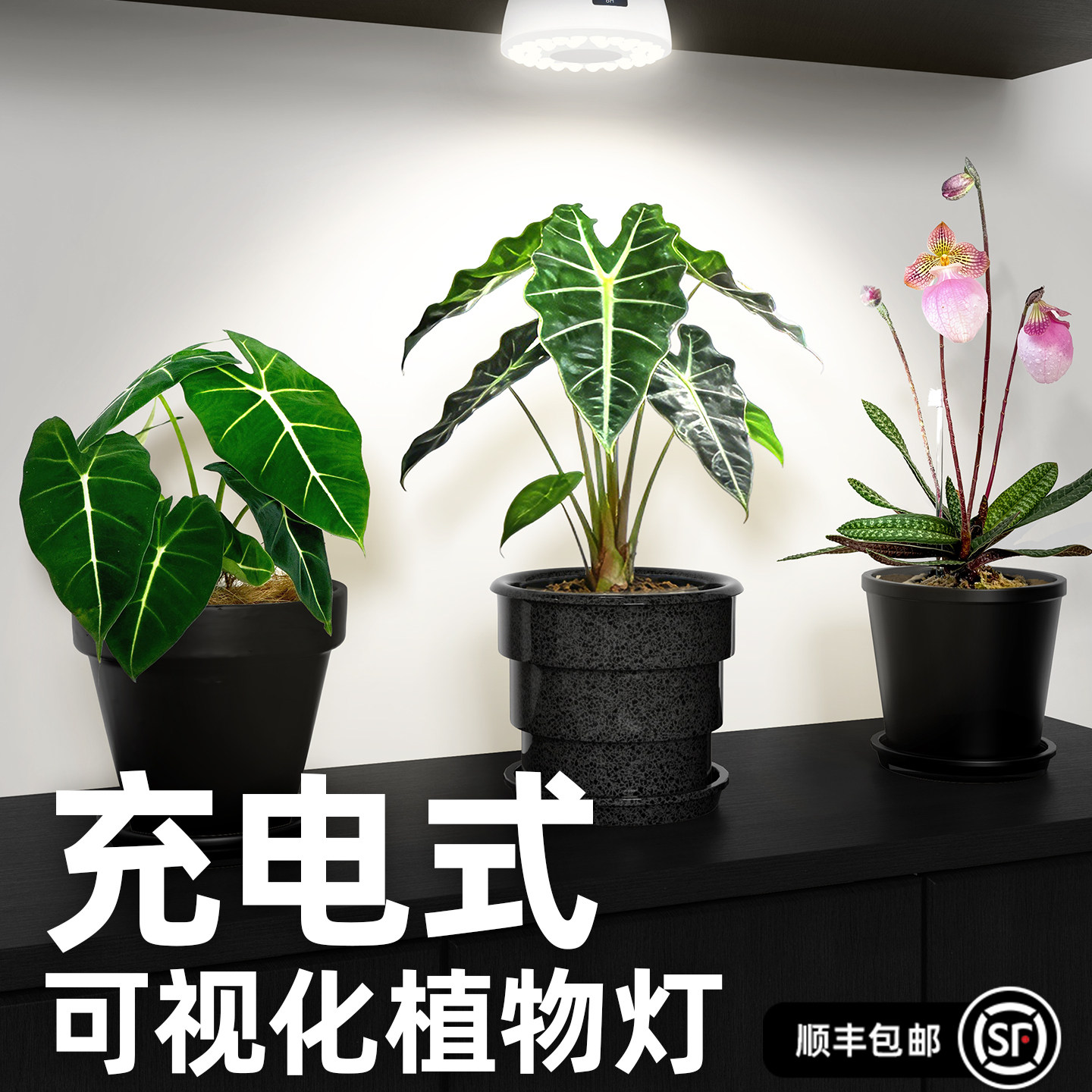 Barrina佰利纳充电式植物补光灯全光谱LED室内盆栽花卉生长灯USB