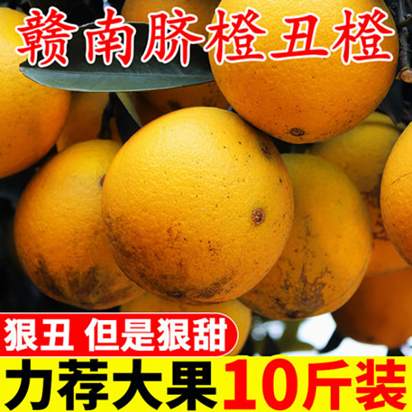 新鲜当季现摘正宗水果