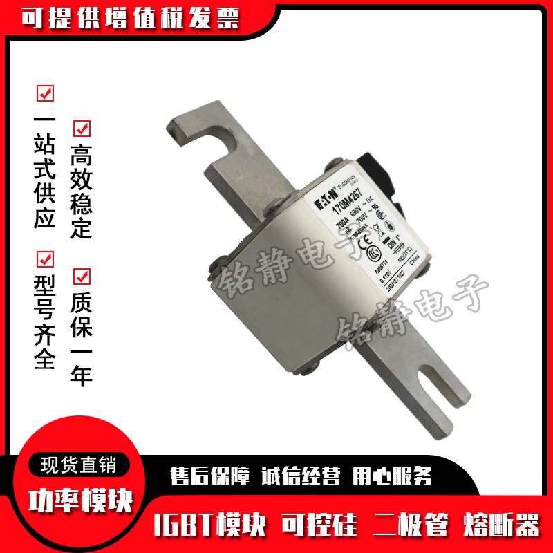 170M4536 170M4537 170M4538 170M4539 170M4540巴斯曼熔断器