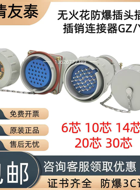 EX乐清友泰多芯防爆插头插座GZ-20K连接器信号线16YT-10J