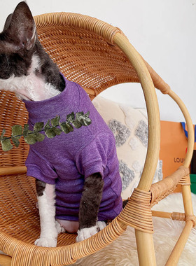 弹力打底纯棉斯芬克斯德文猫保暖加厚秋冬柔软亲紫色无毛猫高领