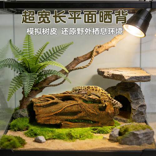 爬宠守宫鬃狮蜥蜴宠物蛇仿真树脂树根款树皮躲避洞穴造景攀爬装饰