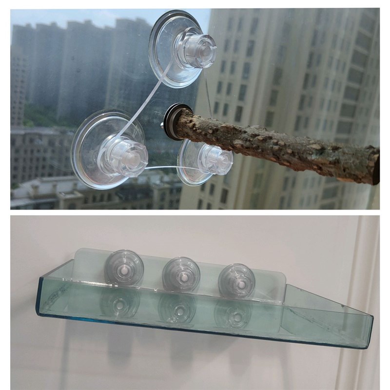 鹦鹉磨砂站杆空中站架空中托盘亚克力吸盘站架鸟用花椒木定点排便