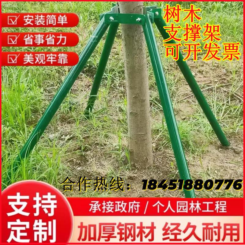 镀锌钢管园林绿化树木支撑架 不锈钢防风树苗固定器套装