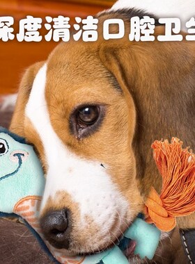 FOFOS两只福狸 狗狗玩具磨牙洁齿发声幼犬柯基金毛泰迪发声狗玩具