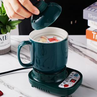 养生电炖杯电热水杯智能煮粥杯子迷您热牛奶神器办公室便携花茶壶