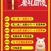 饲料 小零食白鼠袋装 金丝熊粮食罐装 超大桶营养主粮面包虫仓鼠吃