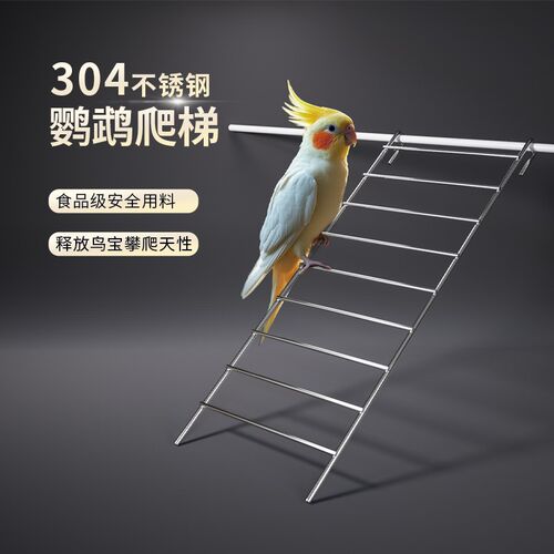 鹦鹉专用不锈钢梯子爬梯玄凤虎皮牡丹鸟笼玩具楼梯鸟配件用品大全