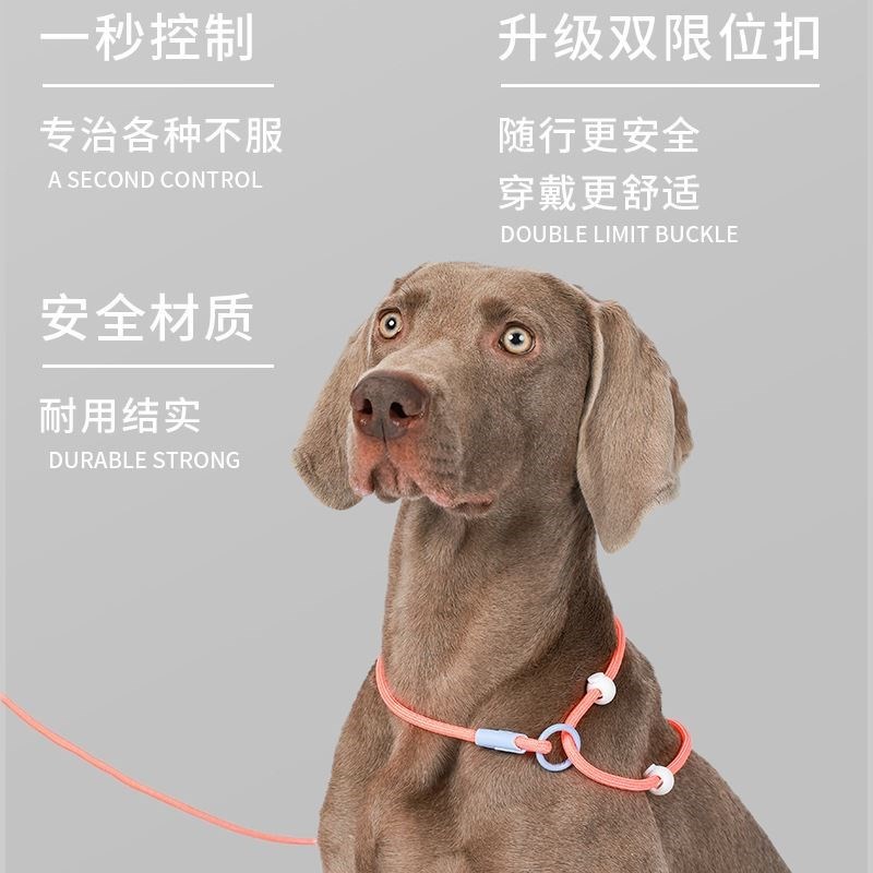 狗狗牵引绳p绳中型犬遛狗绳小型犬p链训狗专用幼犬训练绳赛级狗绳