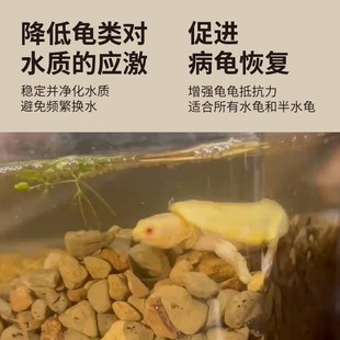 育归肥菌包大颗粒土垫材调理乌龟半水龟黄缘剃刀草龟通用肥水养龟