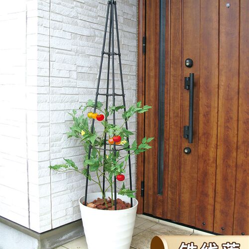 铁线莲四角花塔型支架子花架爬藤架户外阳台园艺风车茉莉月季支撑