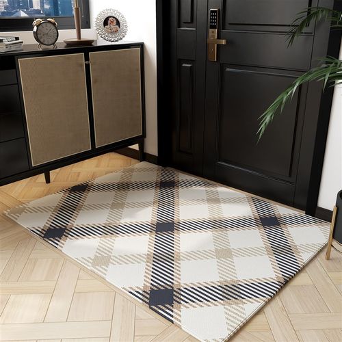 定制入户门地垫进门垫家用地毯卧室可裁剪防滑大门口玄关脚垫轻奢