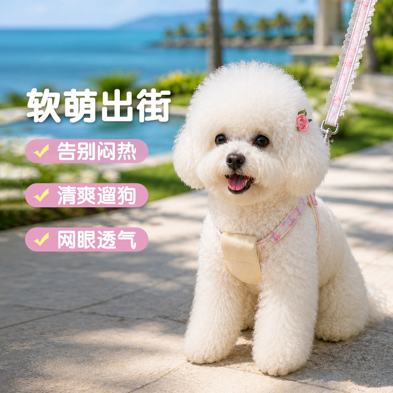 小型犬透气网眼可爱胸背牵引绳