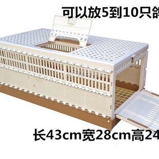 帆布籠訓放籠 信鴿用品 實木鴿籠 配對籠 鴿子腳環 鴿具 放飛籠