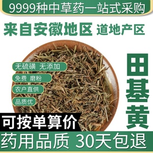 中药材特级野生田基黄 地耳草 黄花草 正品雀舌草 跌水草 50克