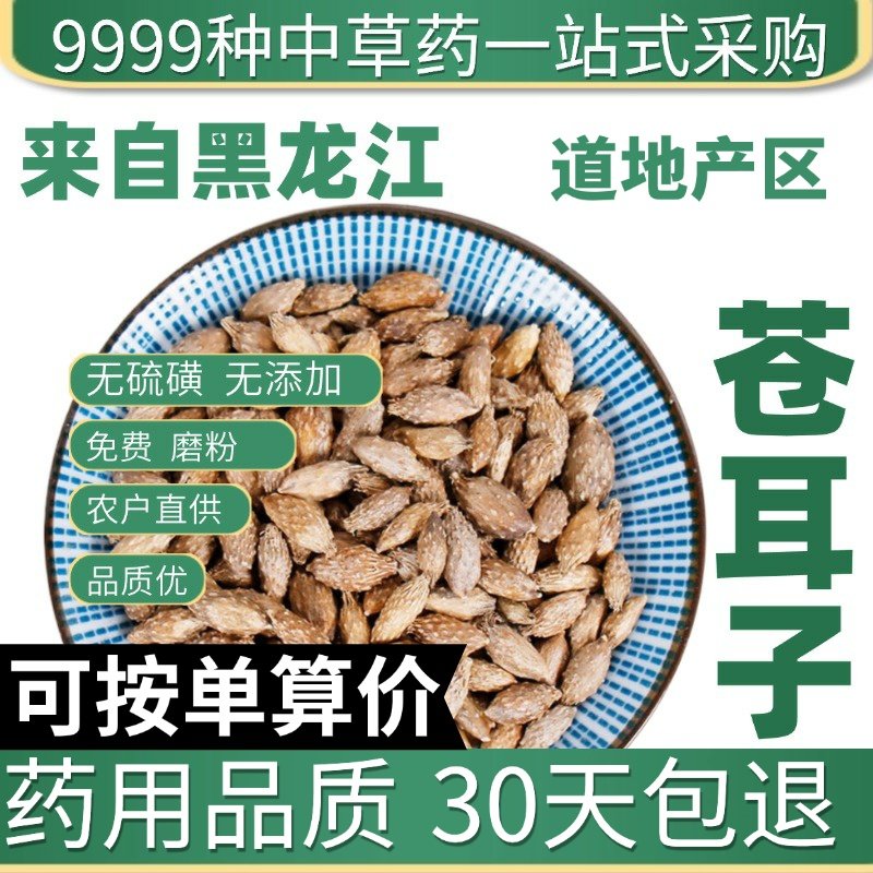中药材特级野生苍耳子50g克仓耳子苍耳子茶可磨苍耳子粉