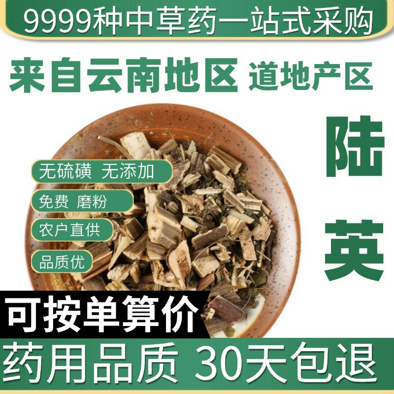 特级陆英 接骨草 臭草 蒴藿 七叶根正品新货50克中草药原产地直发