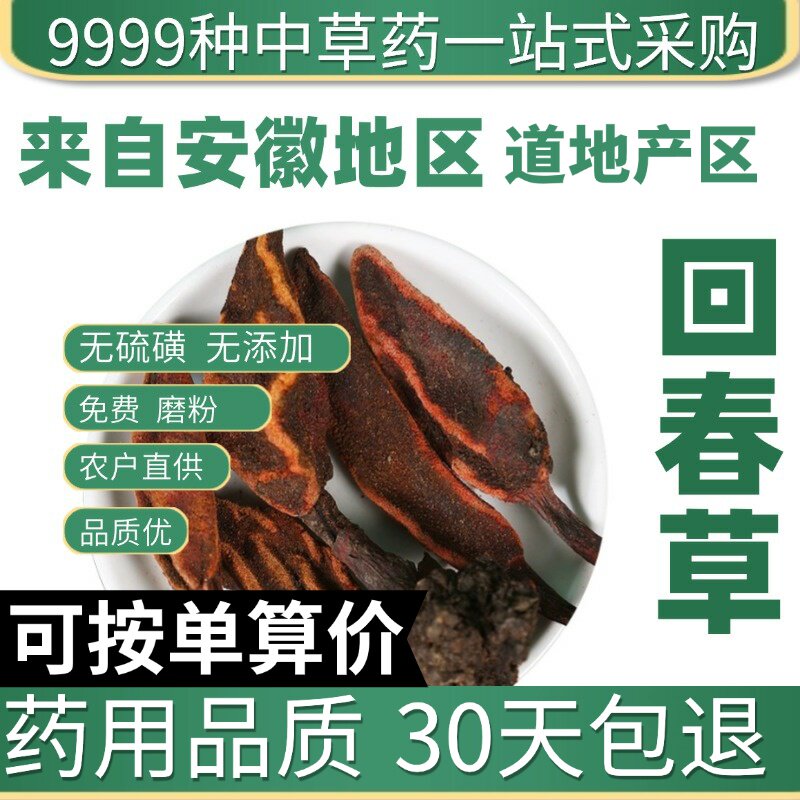 特级云南回春草正宗回春草顶天柱滋补泡酒料新货50克原产地直发农