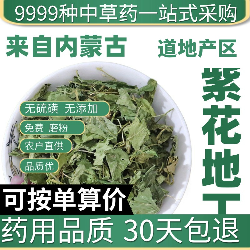 中药材特级野生紫花地丁50g克犁头草地丁草天然地丁子地丁茶