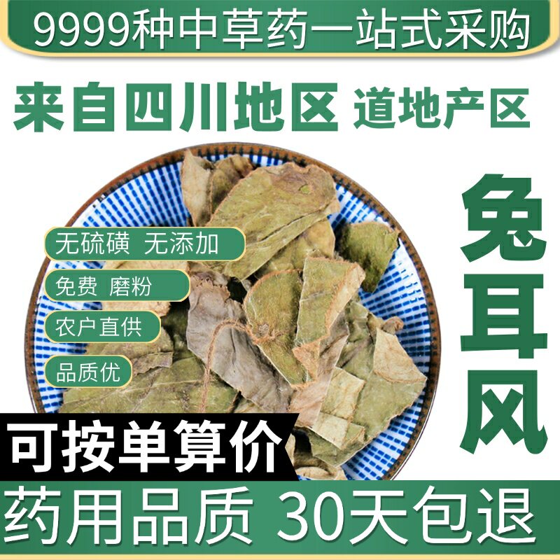 特级杏香兔耳风 猪心草 兔耳风 正品新货兔耳草 50克原产地直发农