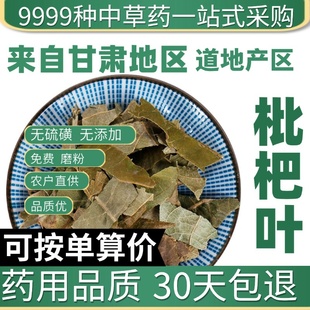 中药材特级野生枇杷叶50g枇杷叶茶新货生枇杷叶干货可枇杷叶