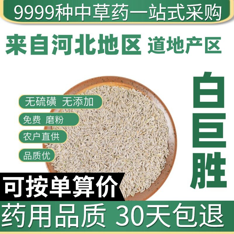 特级白巨胜50克白巨胜籽白苣子苣蕂子白苣子白巨胜子原产地直发农