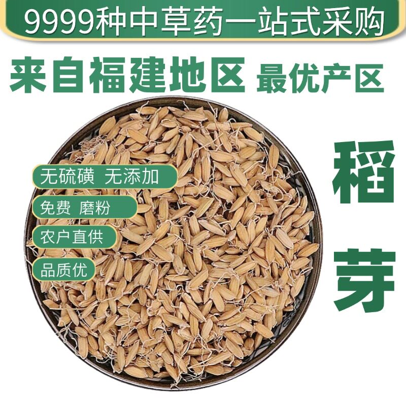 稻芽粉材超细稻谷芽生稻芽粉有稻芽生麦芽生谷芽双芽水原产地直发