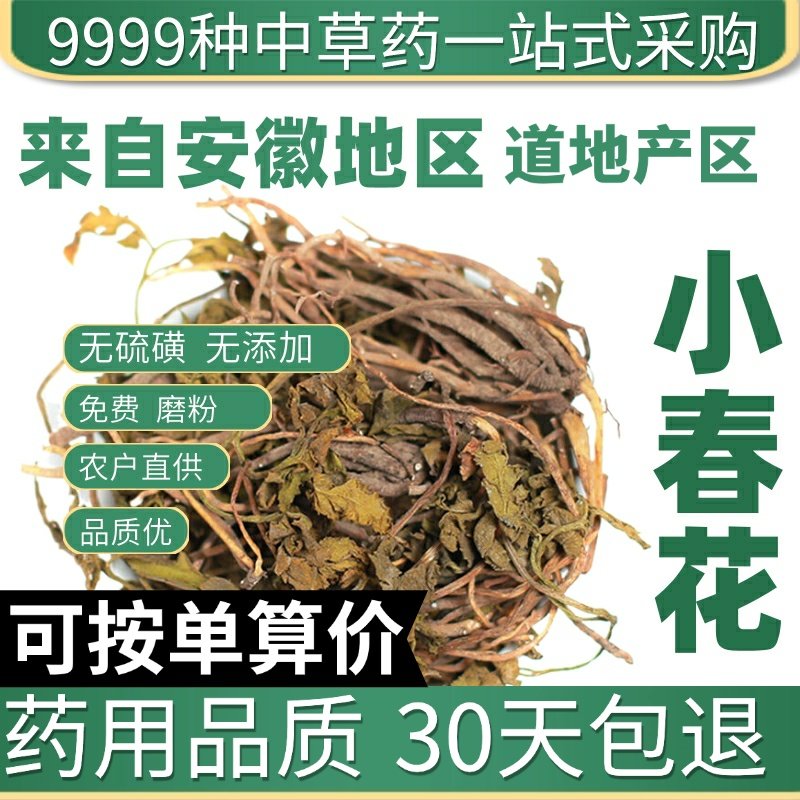 特级小春花 一朵云 破天云 正品新货阴地蕨 50克原产地直发农家干图片