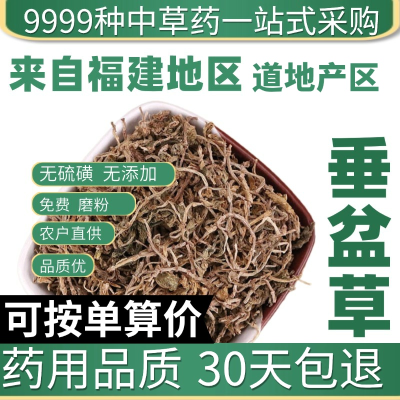 中药材特级野生垂盆草50克正品干货泡茶药用食用干货垂盆草锤盆草
