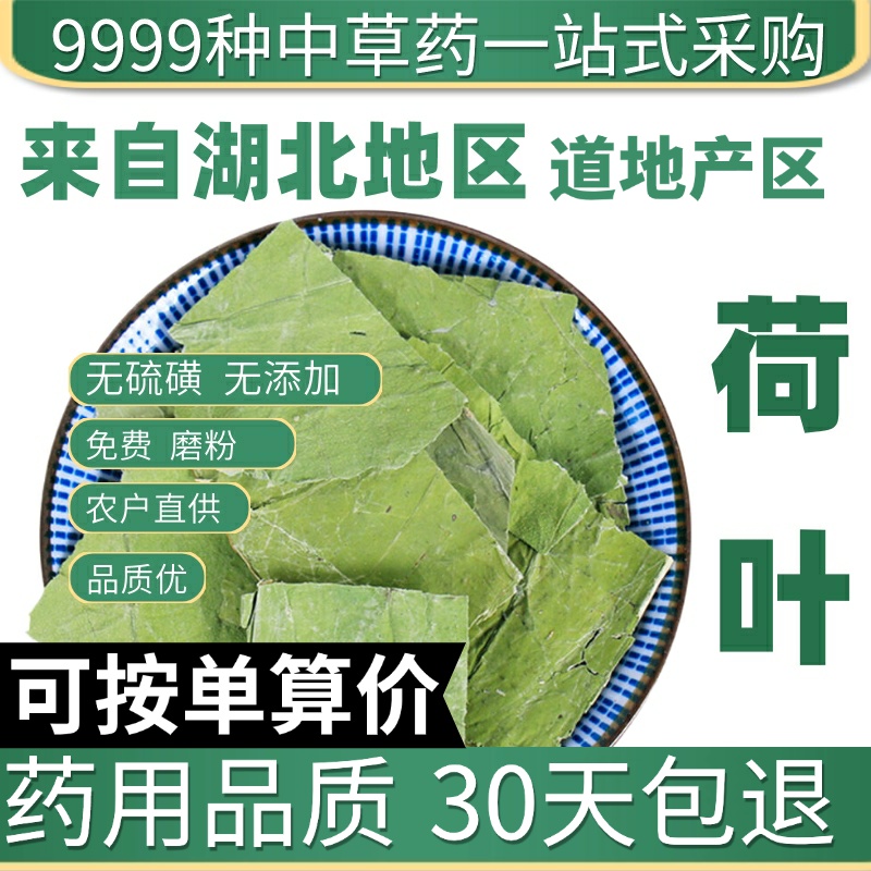 中药材野生荷叶片新鲜荷叶荷叶干片泡茶荷叶块特级荷叶茶新货50g