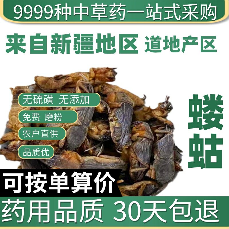 特级蝼蛄干50克正品新货拉拉蛄地拉蛄天蝼土狗蝼蛄粉原产地直发农