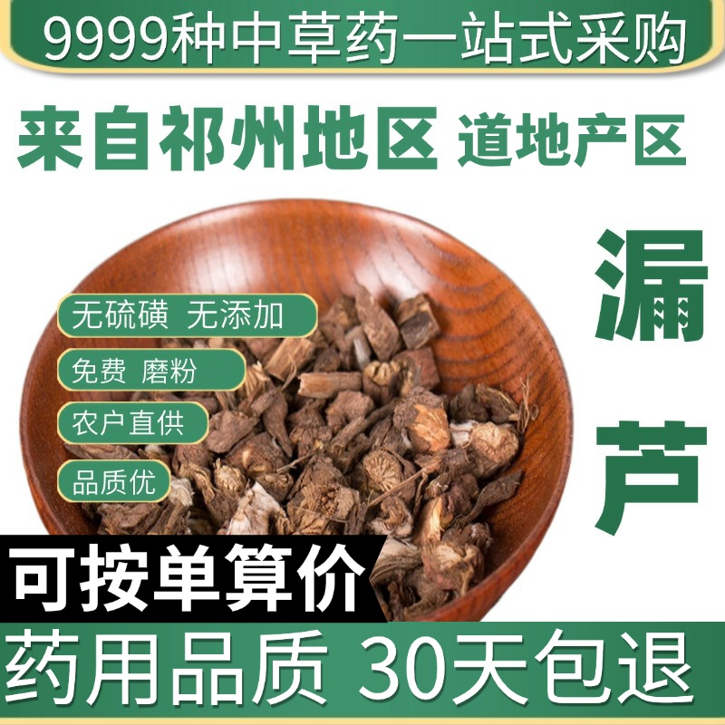 中药材特级野生漏芦50g克正品新货东北狼头花 野兰 鬼油麻 漏卢
