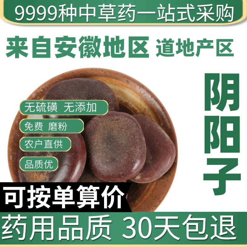 中药材特级野生阴阳子50克正品新货肾果过江龙子木腰子泡酒料
