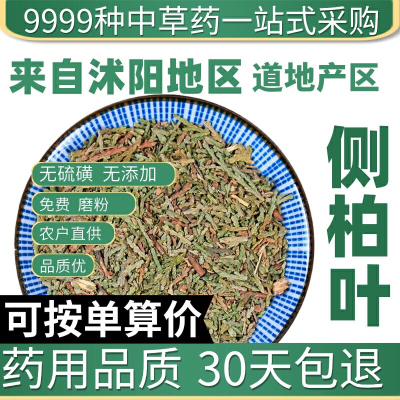 特级侧柏叶扁柏叶丛柏叶 新货侧柏叶干货 洗头防脱50g原产地直发