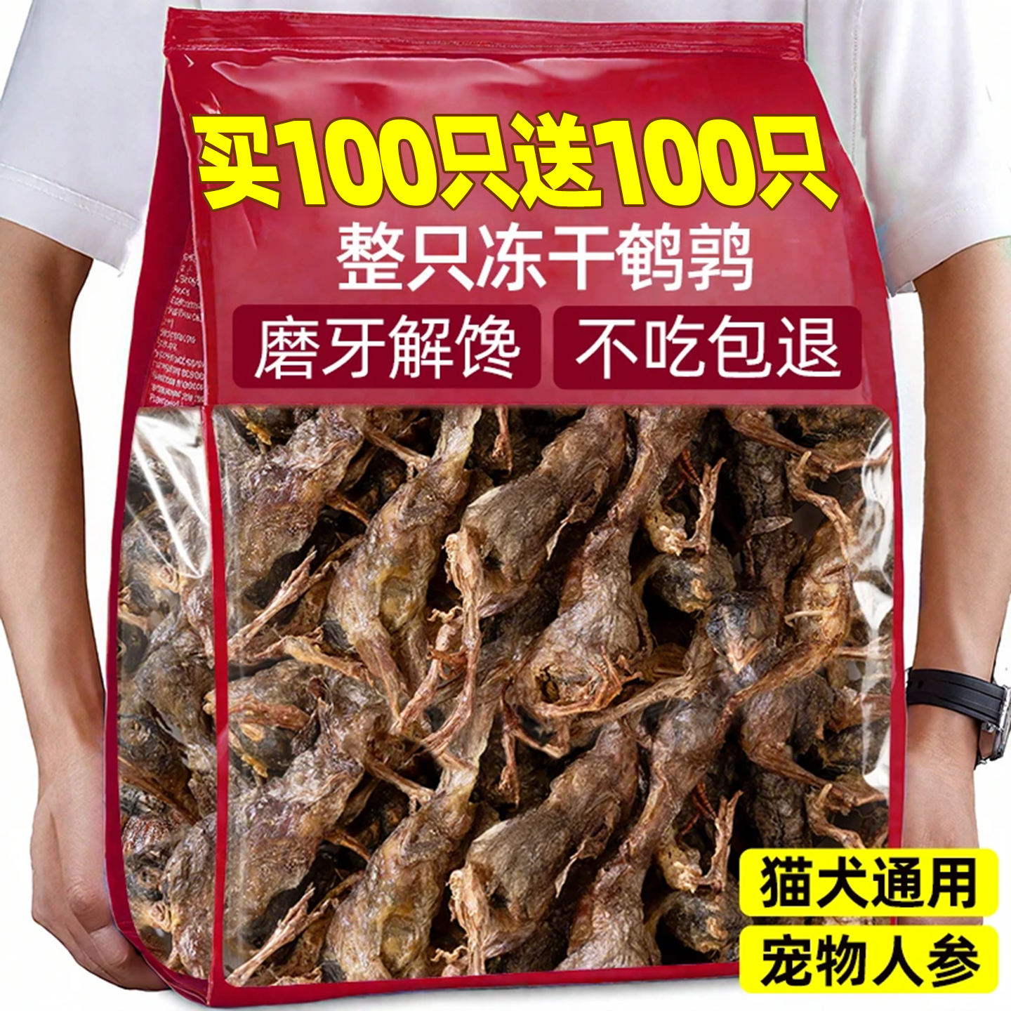 大鹌鹑买100只送100只冻干大鹌鹑