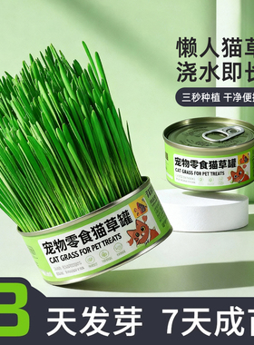 懒人猫草种植泡面猫草小麦水培猫草罐头猫咪化毛排猫草成幼猫用品